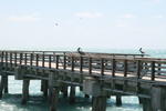 South Beach Fishing Pier, Miami