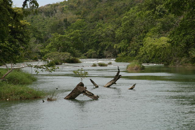 Mopan River at San Jose Succotz