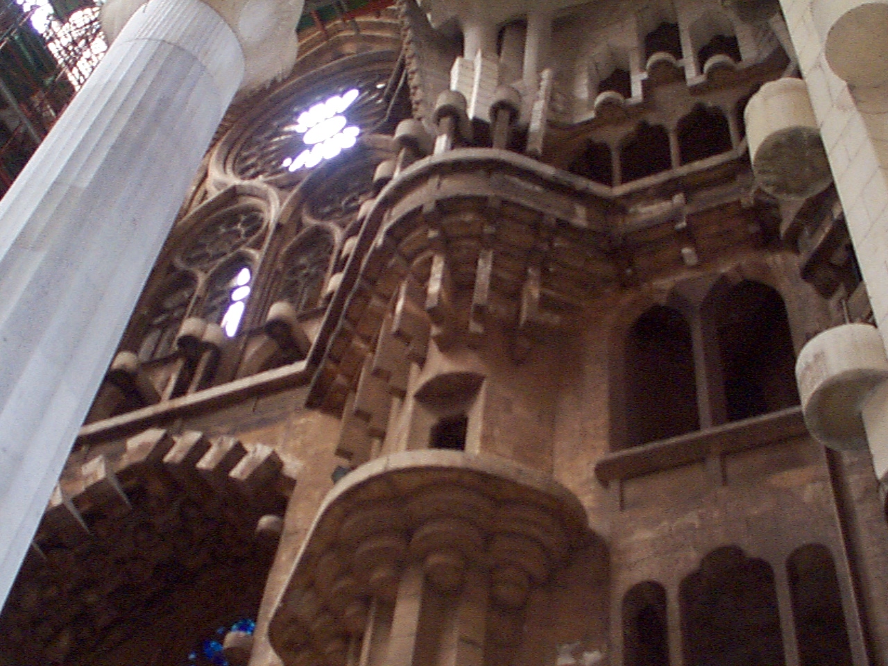p001247.jpg