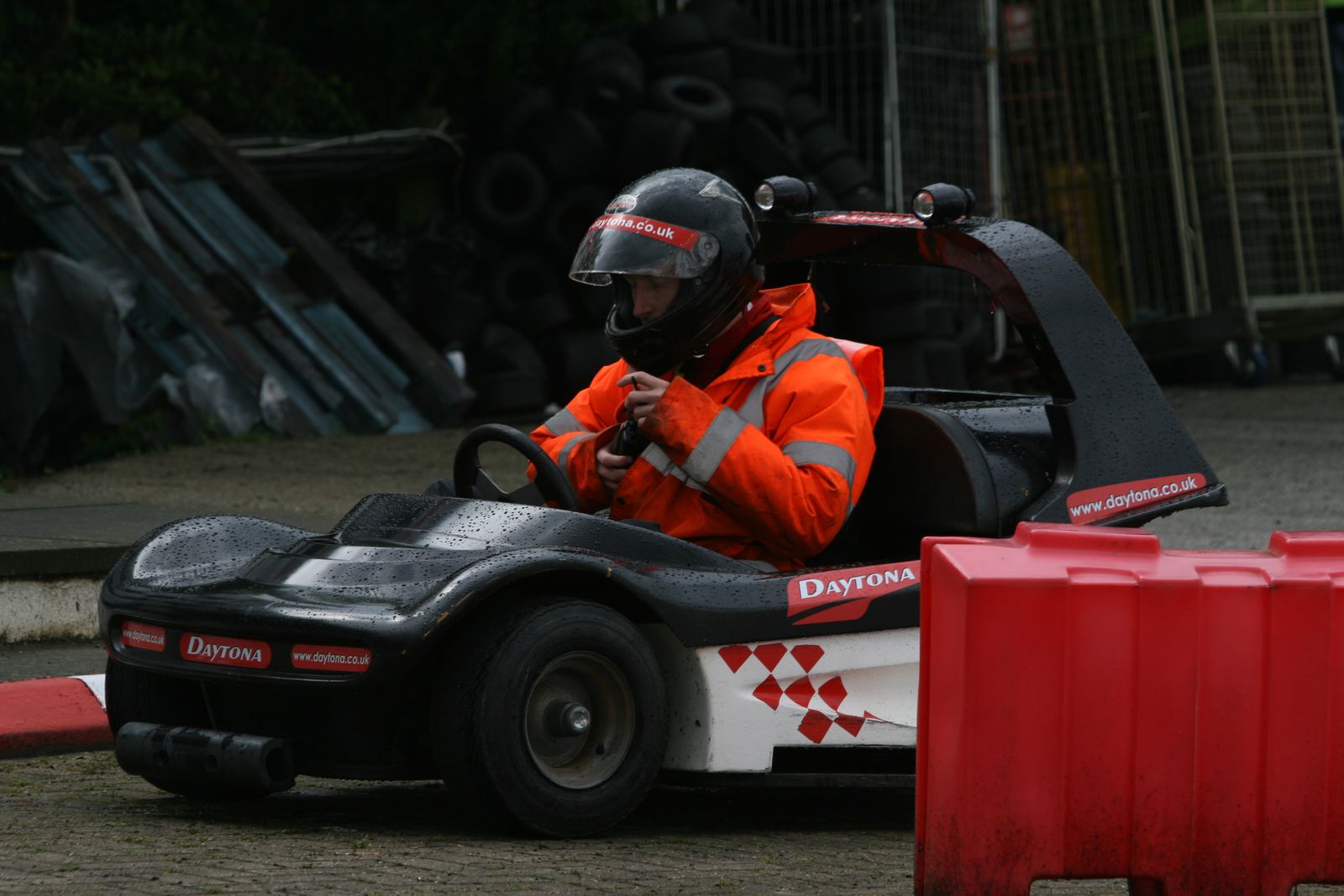 Marshall in a buggy